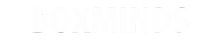 logoboxmindsbranco